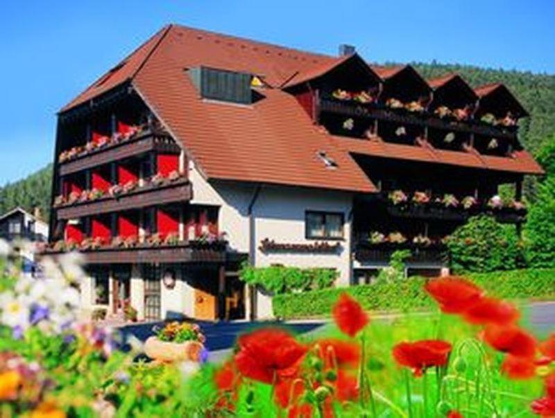 Hotel Schwarzwaldhof Энцклёстерле Экстерьер фото