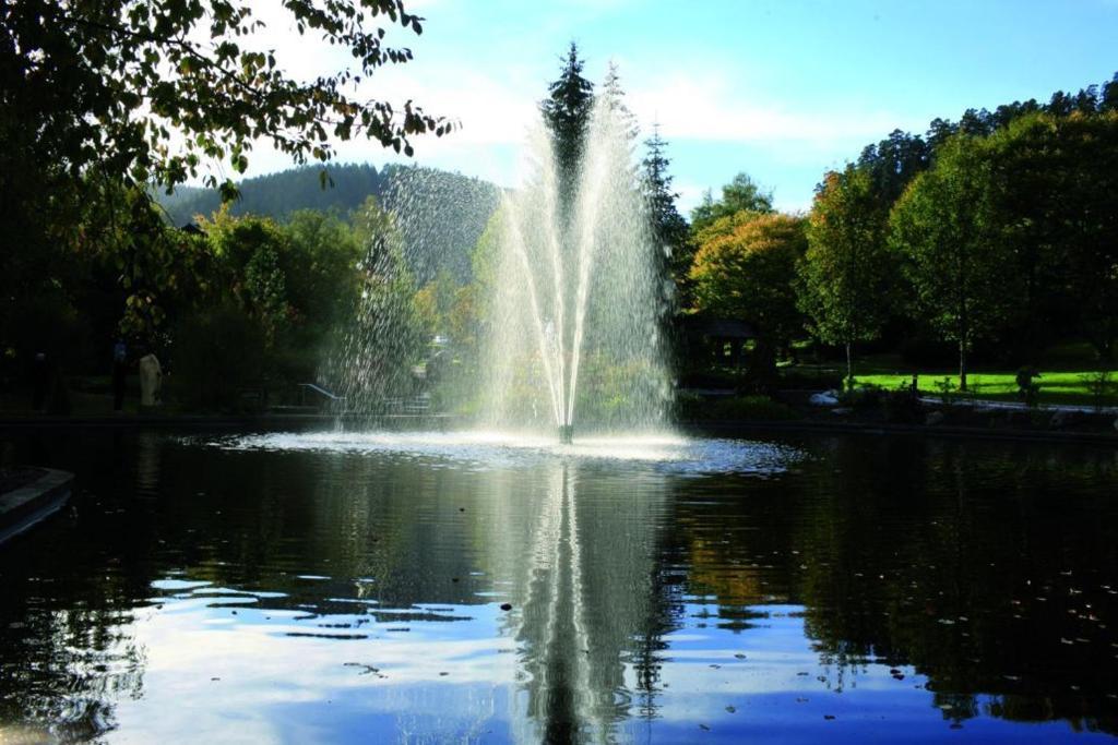 Hotel Schwarzwaldhof Энцклёстерле Экстерьер фото