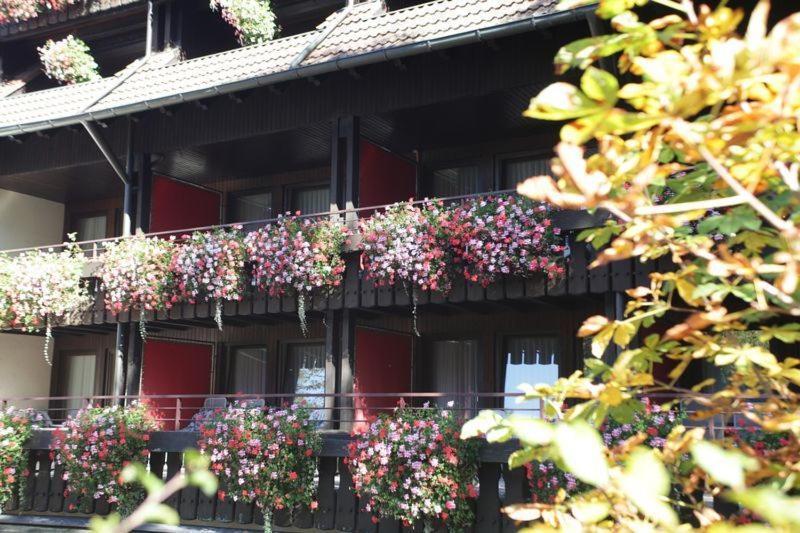 Hotel Schwarzwaldhof Энцклёстерле Экстерьер фото