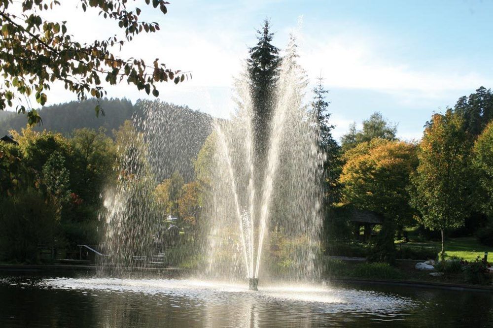 Hotel Schwarzwaldhof Энцклёстерле Экстерьер фото
